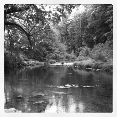 henry cowell park