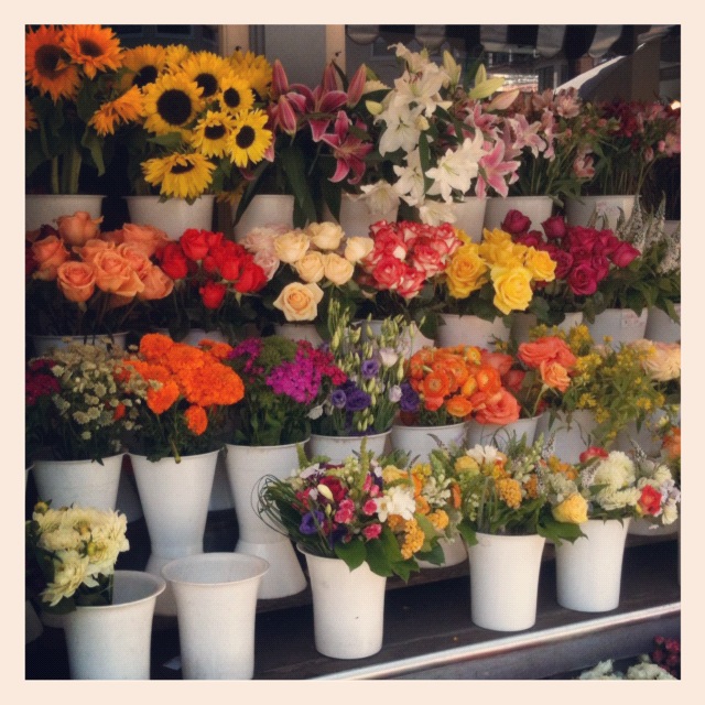corner flower shop corner flower shop